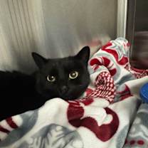 Thumbnail photo of Miracle #2