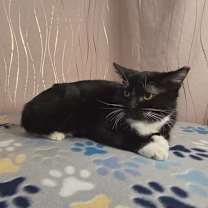 Thumbnail photo of Seymour #2