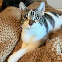 Thumbnail photo of Sammy #1