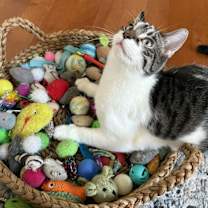 Thumbnail photo of Sammy #2