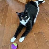 Thumbnail photo of Carl #4