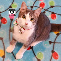 Thumbnail photo of Poonum #1