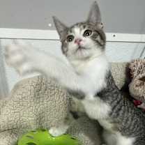 Thumbnail photo of Tanya Tucker #4