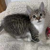 Thumbnail photo of Charlie Daniels #2