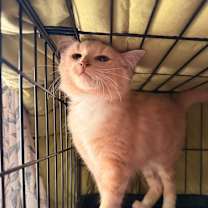 Thumbnail photo of Mott #4