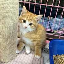 Thumbnail photo of Toasty #1