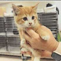 Thumbnail photo of Toasty #4