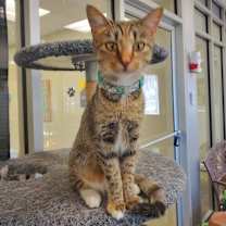 Thumbnail photo of Sydney #2