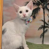 Thumbnail photo of Spice #2