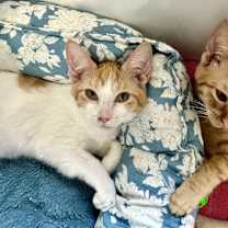 Thumbnail photo of Fred #1