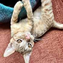 Thumbnail photo of Fred #3