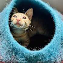 Thumbnail photo of Fred #4