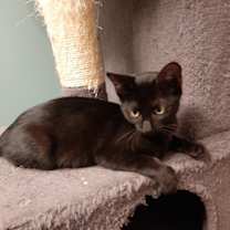 Thumbnail photo of Ella #1