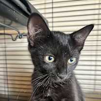 Thumbnail photo of Ella #2