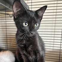 Thumbnail photo of Ella #3