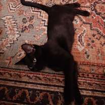 Thumbnail photo of Ella #4