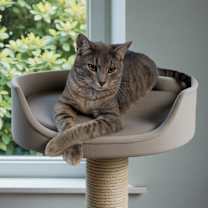 Thumbnail photo of Gru #4