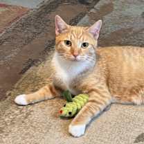 Thumbnail photo of June #1