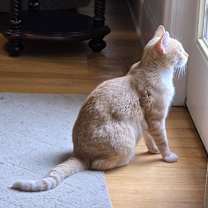 Thumbnail photo of June #4