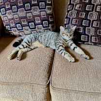 Thumbnail photo of Mimi #2