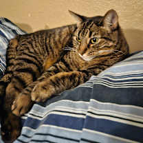 Thumbnail photo of Lupita #2