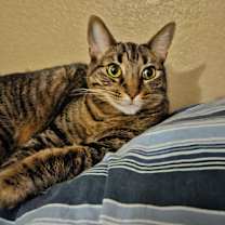 Thumbnail photo of Lupita #3