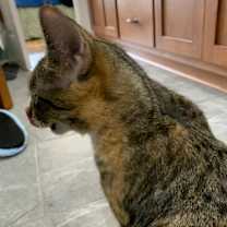 Thumbnail photo of Unknown #4