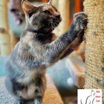 Thumbnail photo of Bobbie Sue #3