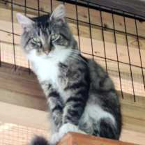 Thumbnail photo of Jackson Jr. #4