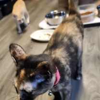 Thumbnail photo of Madison Lou #3