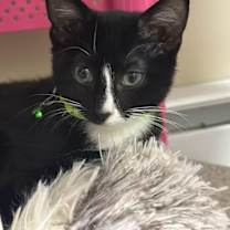 Thumbnail photo of Stomp #1