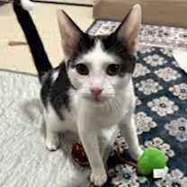 Thumbnail photo of Everett #2