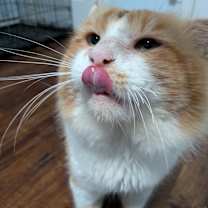 Thumbnail photo of Arlo #1