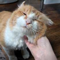 Thumbnail photo of Arlo #2