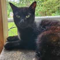 Thumbnail photo of Barry #1