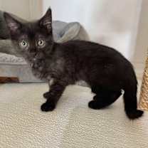 Thumbnail photo of Flo #4