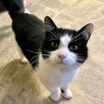 Thumbnail photo of Ferris #1