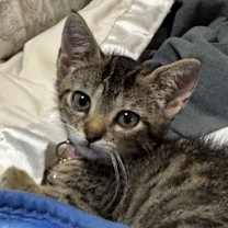 Thumbnail photo of Paris #3