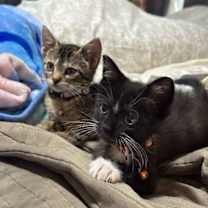 Thumbnail photo of Paris #4