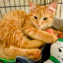 Thumbnail photo of MURPHY AND BIRDIE #4