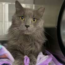 Thumbnail photo of Sebastian #1