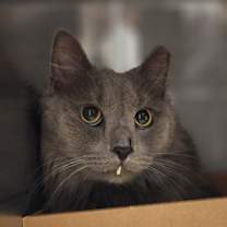 Thumbnail photo of Sebastian #2