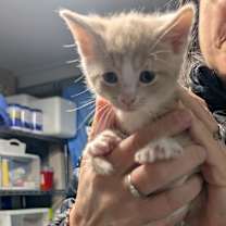 Thumbnail photo of Fred #1