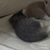 Thumbnail photo of Wilma #2