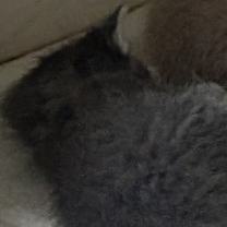 Thumbnail photo of Betty #2