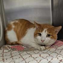 Thumbnail photo of Landon #2