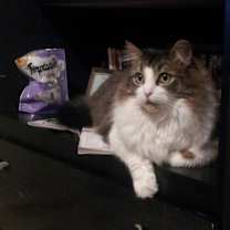 Thumbnail photo of John Micheal (Mikey) #2