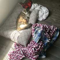 Thumbnail photo of John Micheal (Mikey) #3