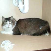 Thumbnail photo of John Micheal (Mikey) #4