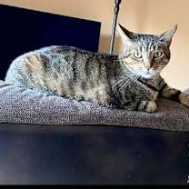 Thumbnail photo of No name #2